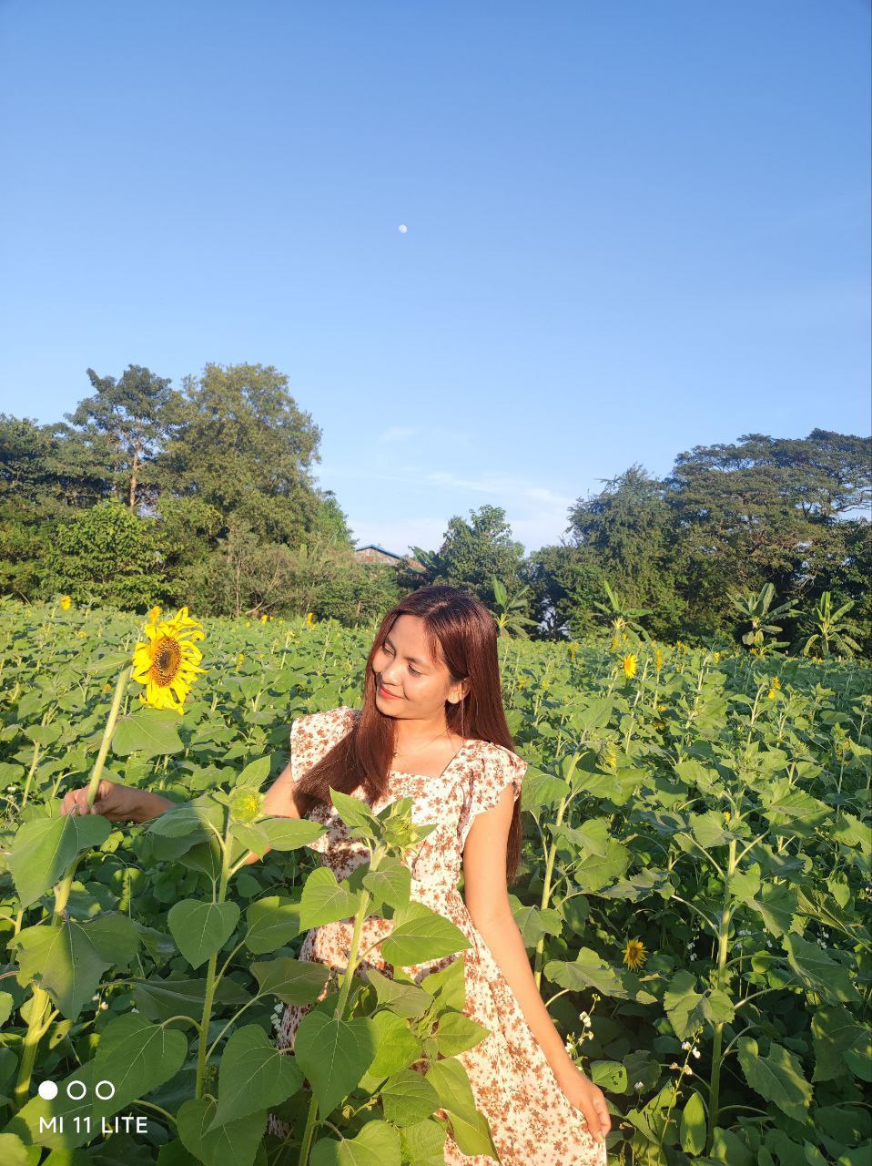 Win Myat Phyo